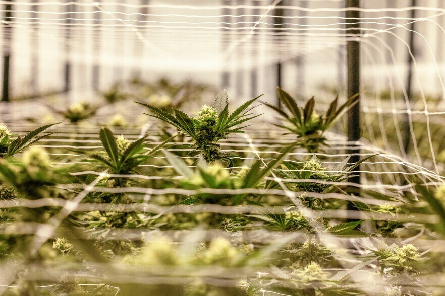 More Photos Of 2335 W Main St, Lowell Warehouse For Sale