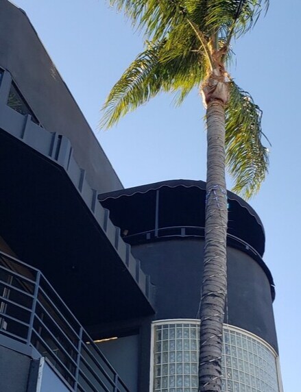 More Photos Of 18580 Ventura Blvd, Tarzana Loft Creative Space For Lease