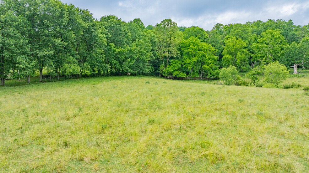 More Photos Of TBD Garrison Hollow Rd, Elizabethton Land For Sale