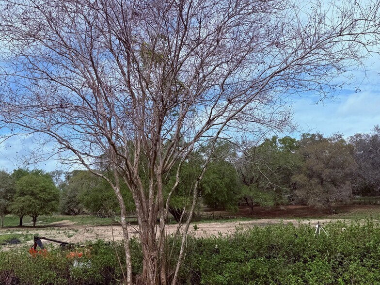 More Photos Of 3330 Plymouth Sorrento Rd, Apopka Land For Sale