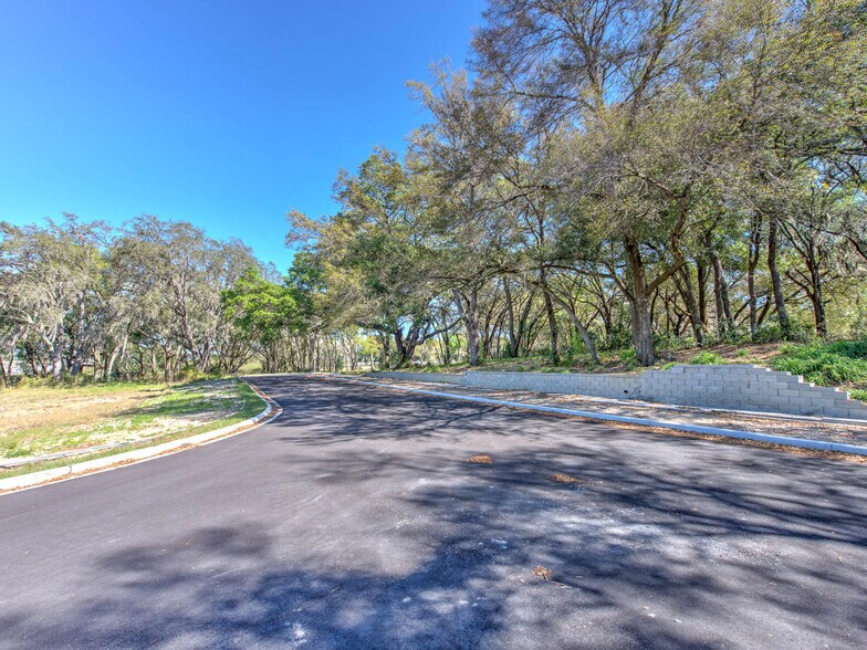 More Photos Of 6011 579th Hwy, Seffner Land For Sale