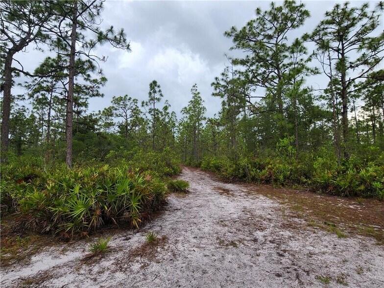 More Photos Of 17470 County Road 731, Venus Land For Sale