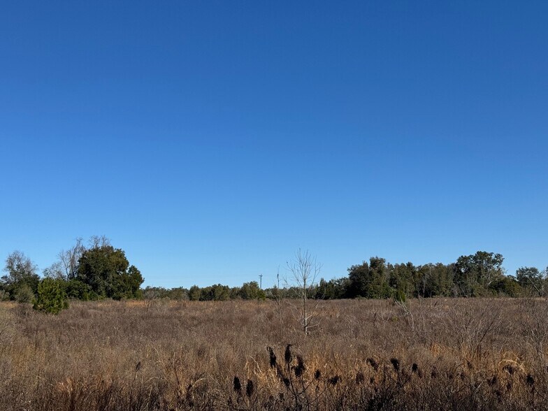 More Photos Of 15000 Block Florida 45, Archer Land For Sale
