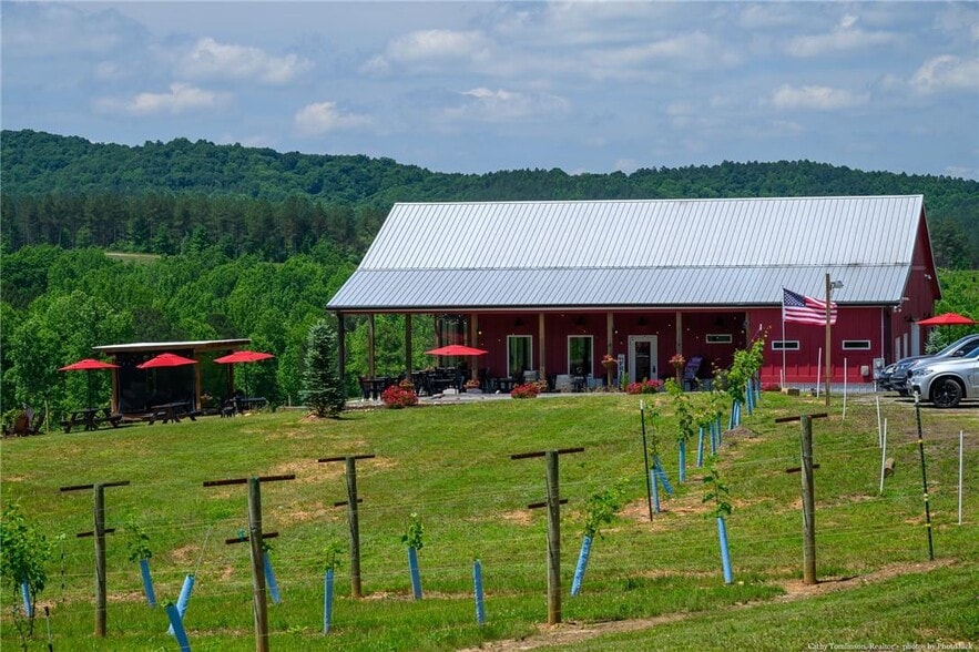More Photos Of 119 Inland Dr, Talking Rock Winery Vineyard For Sale