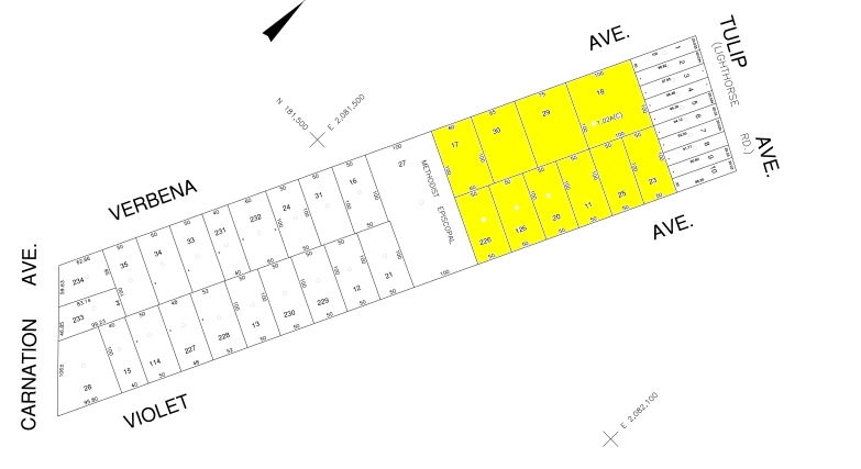 More Photos Of 15 Verbena Ave, Floral Park Office For Lease