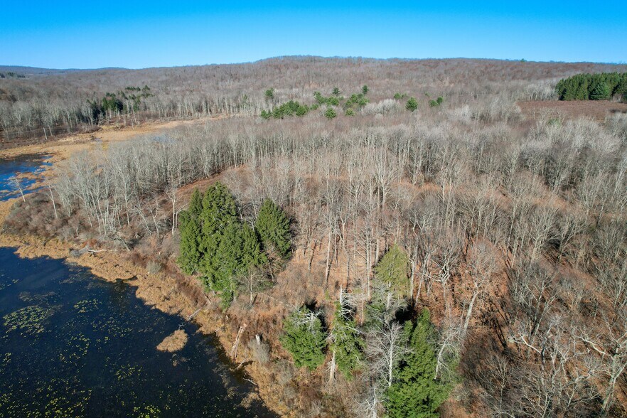 More Photos Of 263 Como Rd, Lake Como Specialty For Sale