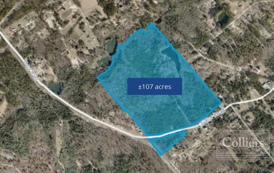 Primary Photo Of 500 Gator Rd, Gaston Land For Sale