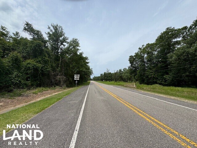 More Photos Of 0 Dead Lake Rd., Creola Land For Sale