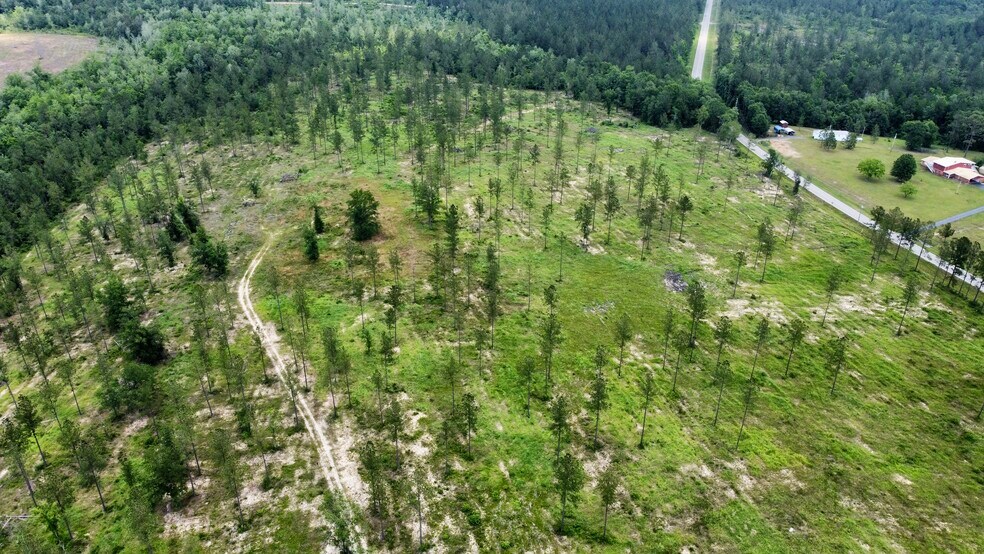More Photos Of County Road 64, Robertsdale Land For Sale