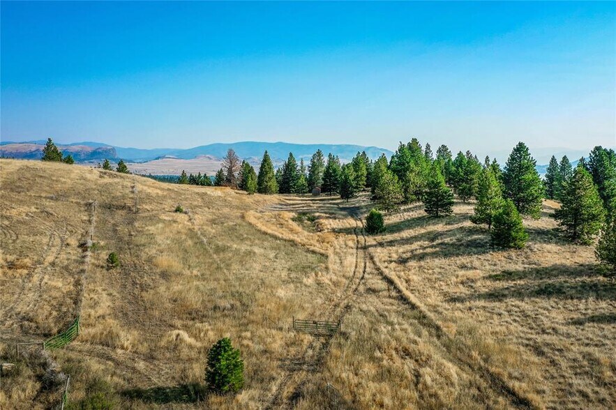 More Photos Of 29011 Walking Horse Ln, Big Arm Land For Sale