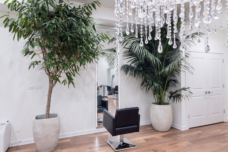 More Photos Of 22 E Elm St, Chicago Storefront Retail Office For Sale