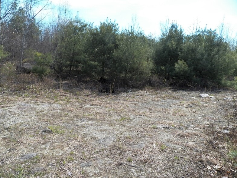 More Photos Of 988 Dover Rd, Epsom Land For Sale
