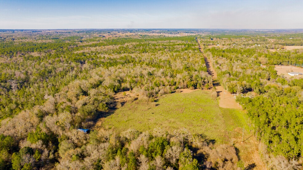 More Photos Of 12960 County Road 48, Silverhill Land For Sale
