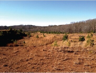 More Photos Of 435 Upper Salem Rd, Jasper Land For Sale