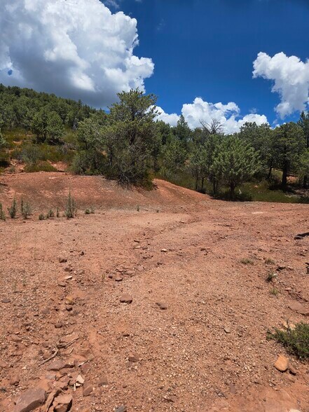 More Photos Of W Ruin Hill Loop, Pine Land For Sale