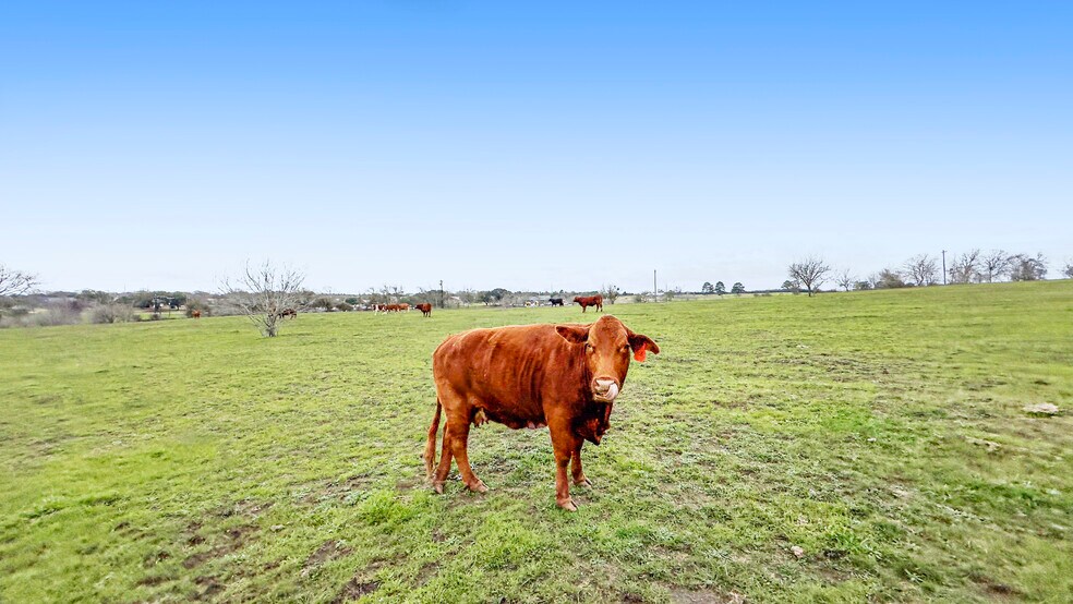 More Photos Of 3601 Highway 36 S, Brenham Land For Sale