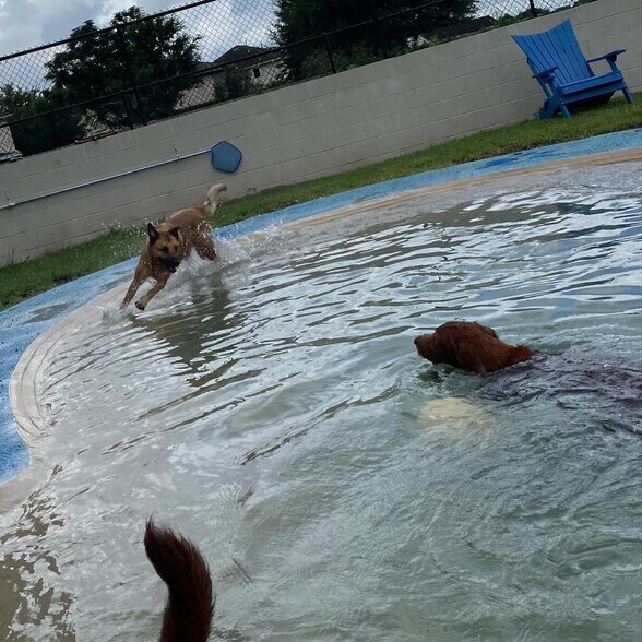 More Photos Of 21725 Clay Rd, Katy Veterinarian Kennel For Sale
