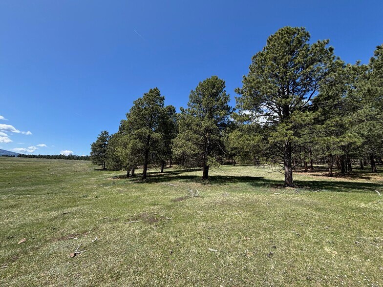 More Photos Of 27989 Highway 64, Eagle Nest Land For Sale