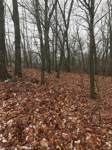 More Photos Of 00 Oak Hollow Dr, Holly Land For Sale