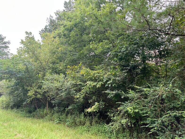 More Photos Of 0 Kirk Rd, White Land For Sale