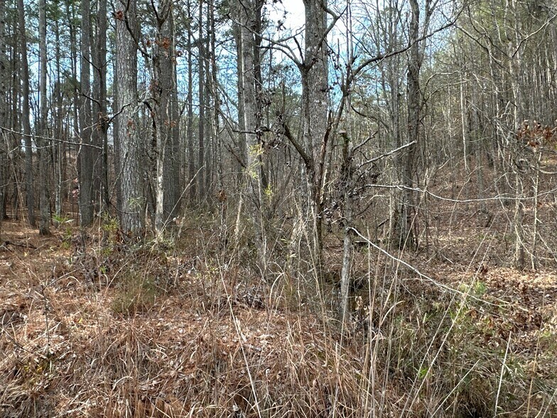 More Photos Of 3472 Prior Station Rd, Cedartown Land For Sale