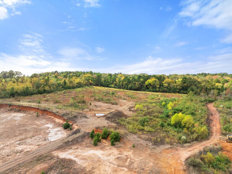 More Photos Of 15374 Hwy 110 S, Whitehouse Land For Sale