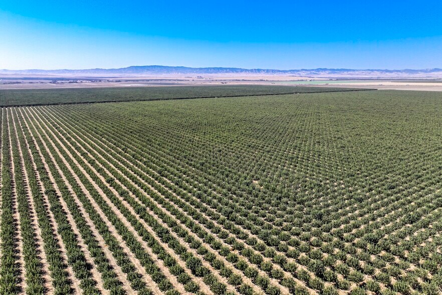 W. Tornado Avenue 15 Hwy, Huron, CA 93234 Land For Sale