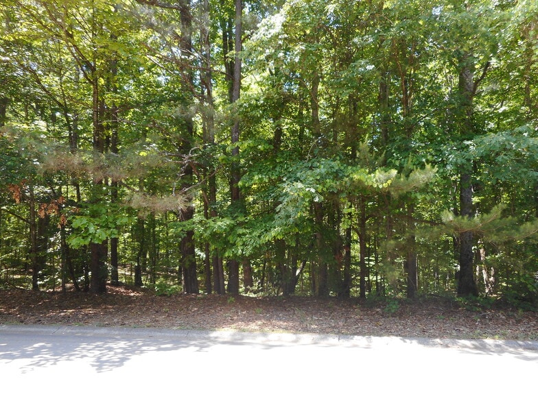 More Photos Of 2280 Holly Lynn Ct, Canton Land For Sale
