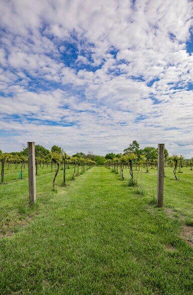 More Photos Of 8400 E 1320 Rd, Stockton Winery Vineyard For Sale