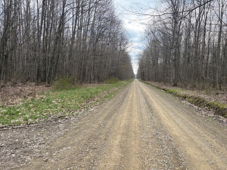 More Photos Of 2851 Pine Rd, Atlantic Land For Sale