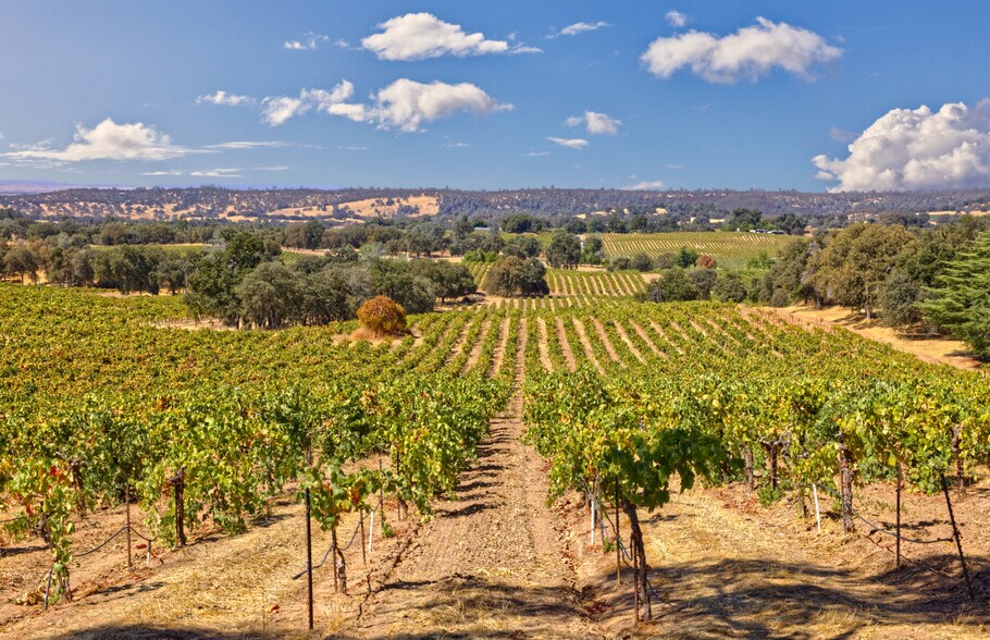 More Photos Of 20680 Shenandoah School Rd, Plymouth Winery Vineyard For Sale