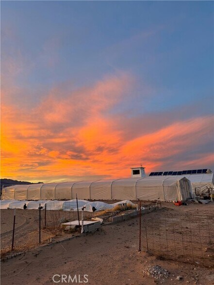 More Photos Of 691 Desert Trail Way, Tecopa Winery Vineyard For Sale