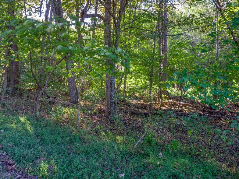 More Photos Of 0 Cox Hollow Rd, Dover Land For Sale