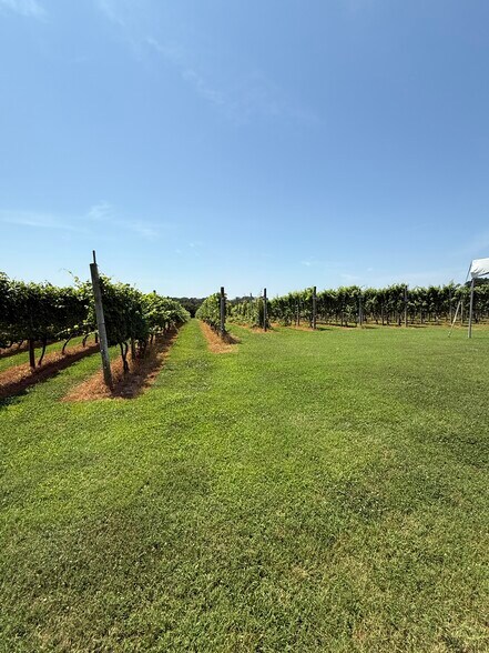 More Photos Of 221 N Delsea Dr, Cape May Court House Winery Vineyard For Sale