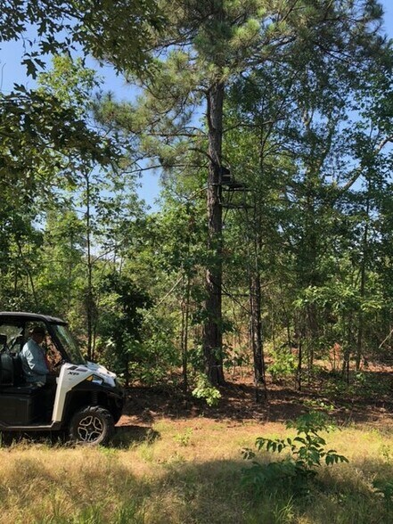 More Photos Of Hwy 157, Plain Dealing Land For Sale