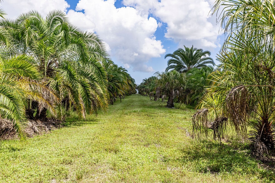 More Photos Of 6850 53rd St, Vero Beach Land For Sale