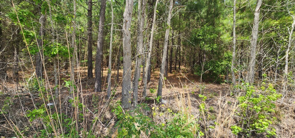 More Photos Of 653 Lost Horn Rd, Branchville Land For Sale