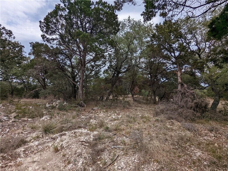 More Photos Of 19712 Tyler Trl, Jonestown Land For Sale