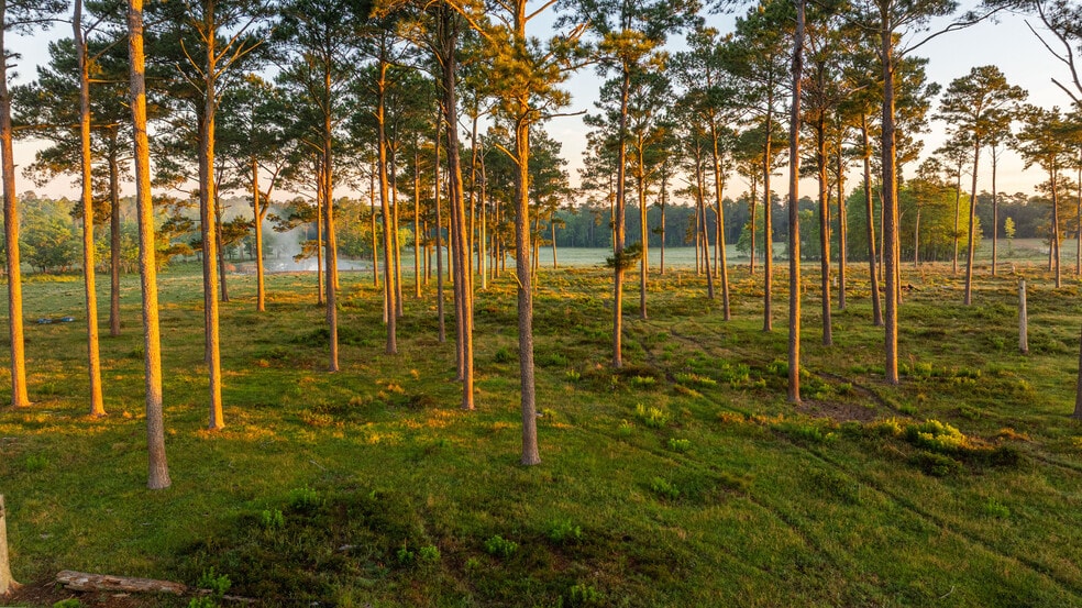 More Photos Of 24795 County Road 32, Elberta Land For Sale