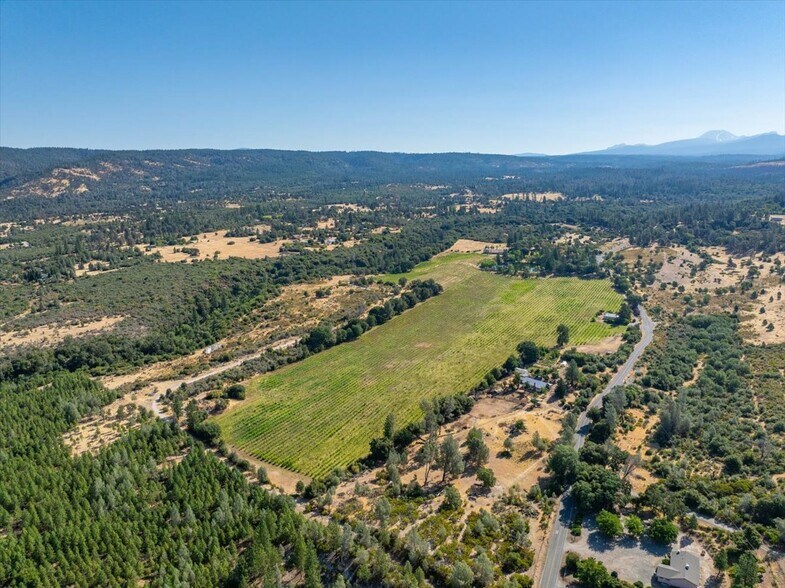 More Photos Of 31630 Forwards Rd, Manton Land For Sale