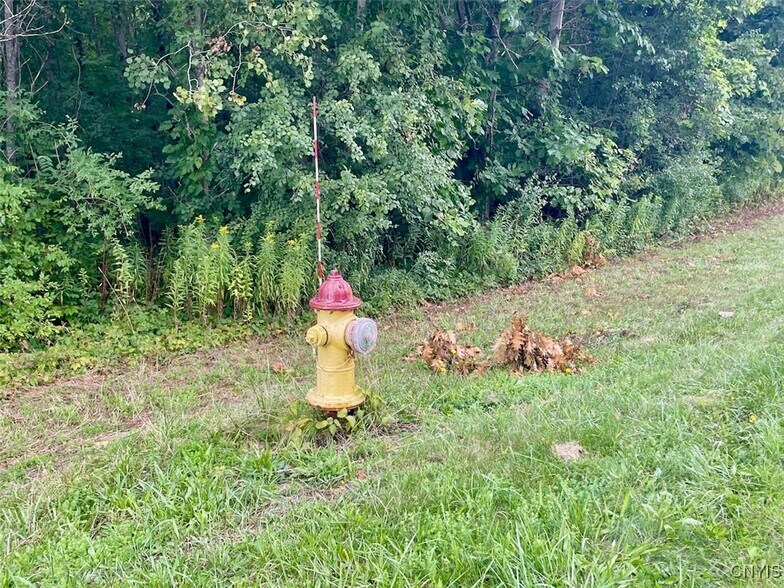 More Photos Of Maiden Lane Rd, Oswego Land For Sale