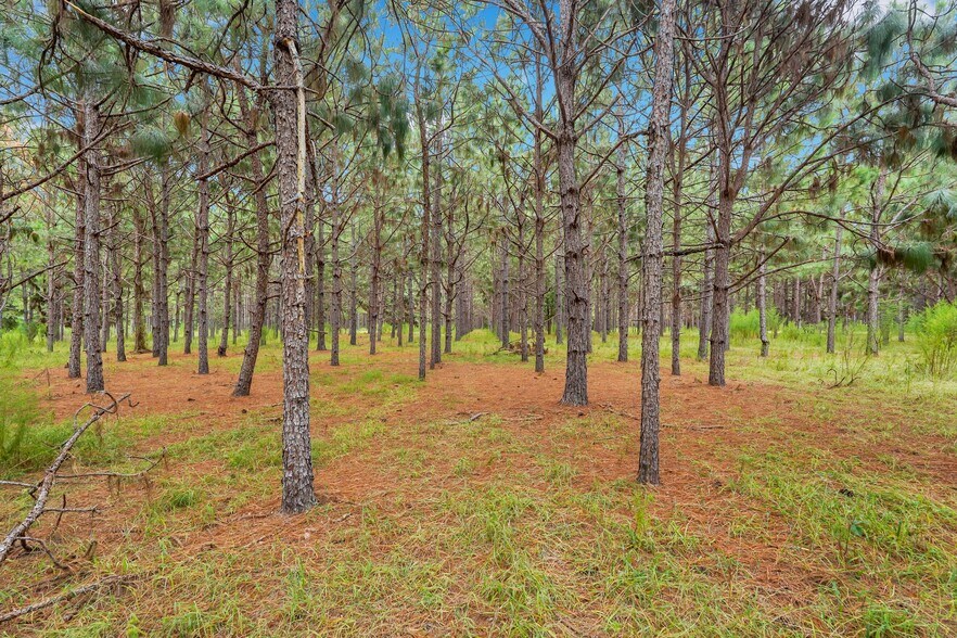 More Photos Of 2437 GA Highway 121, Glennville Land For Sale