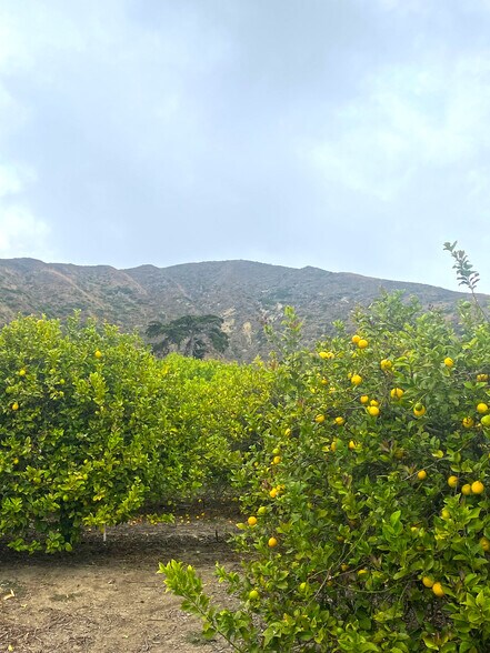 More Photos Of 3945 Pacific Coast Hwy, Ventura Land For Sale