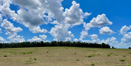 More Photos Of 0 Parrish Grove Rd, Dade City Land For Sale