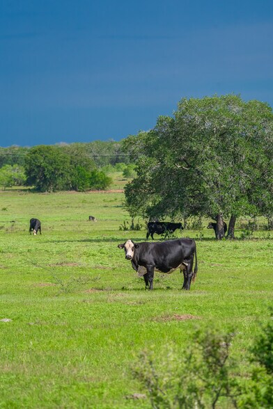 More Photos Of 5279 FM 1117, Nixon Land For Sale