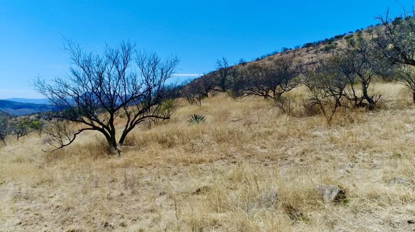 More Photos Of Alto Ranch, Rio Rico Land For Sale