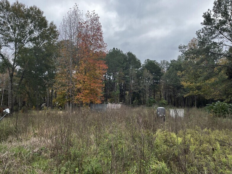 More Photos Of 2833 FM 350 S, Livingston Land For Sale