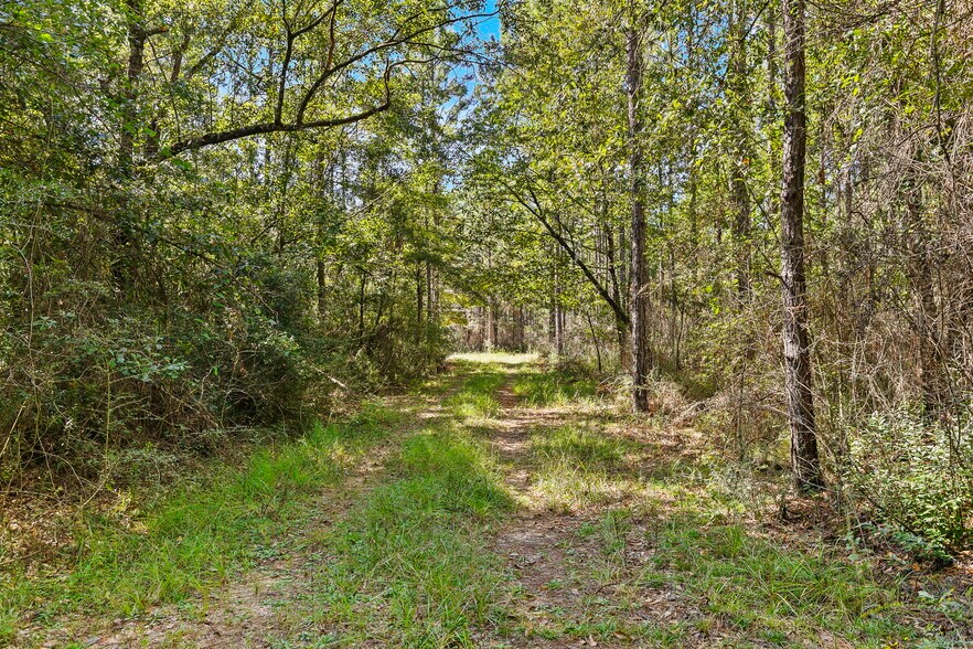 More Photos Of 0 Nokomis Road, Walnut Hill Land For Sale