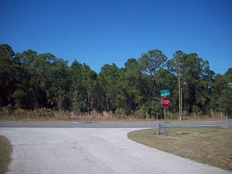 Primary Photo Of 2525 N Salford Blvd, North Port Land For Sale