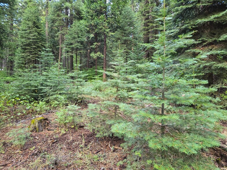 More Photos Of 1229 Blair Rd, Pollock Pines Land For Sale